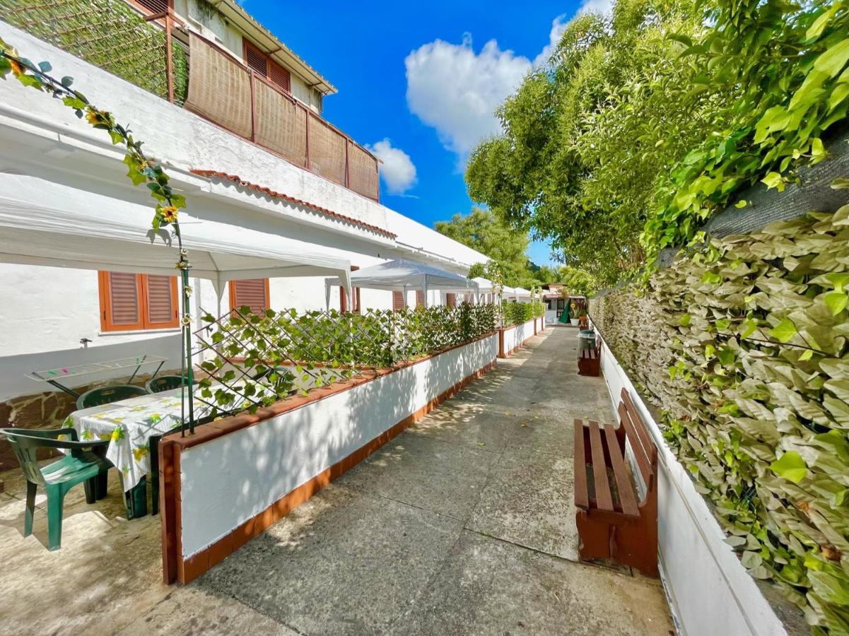 Villa Maica - B&B Palinuro