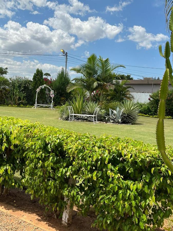 Elite Serviços Lda - B&B Chibungo
