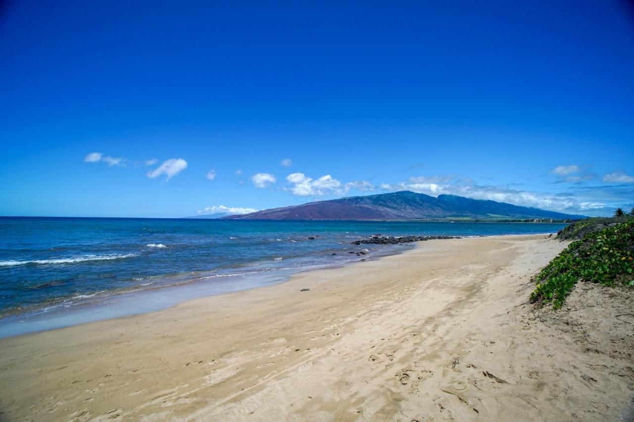 Kihei Bay Vista #A-103 Ocean View, Near Beach, A/C and Fans, Great Rates - Chambres d'hôtes Kīhei