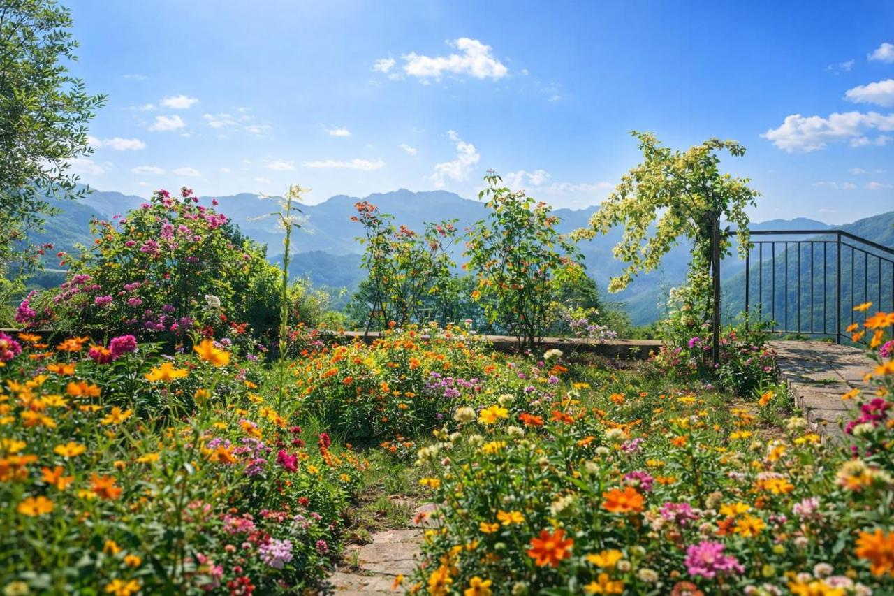 Nonna Teresa - the nature near Amalfi - Bed and Breakfast Figlino