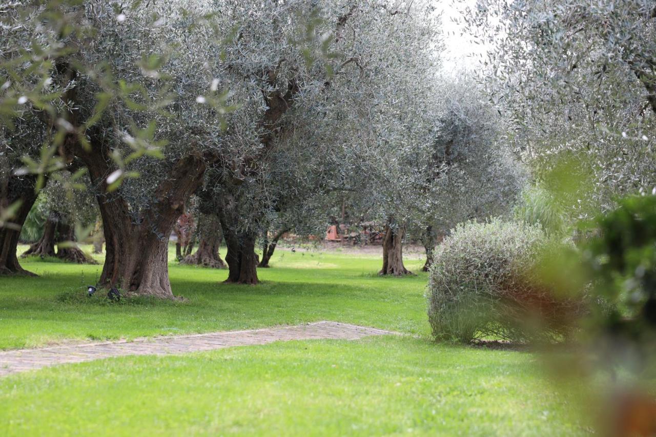 Isola degli Ulivi - Bed and Breakfast Rimini