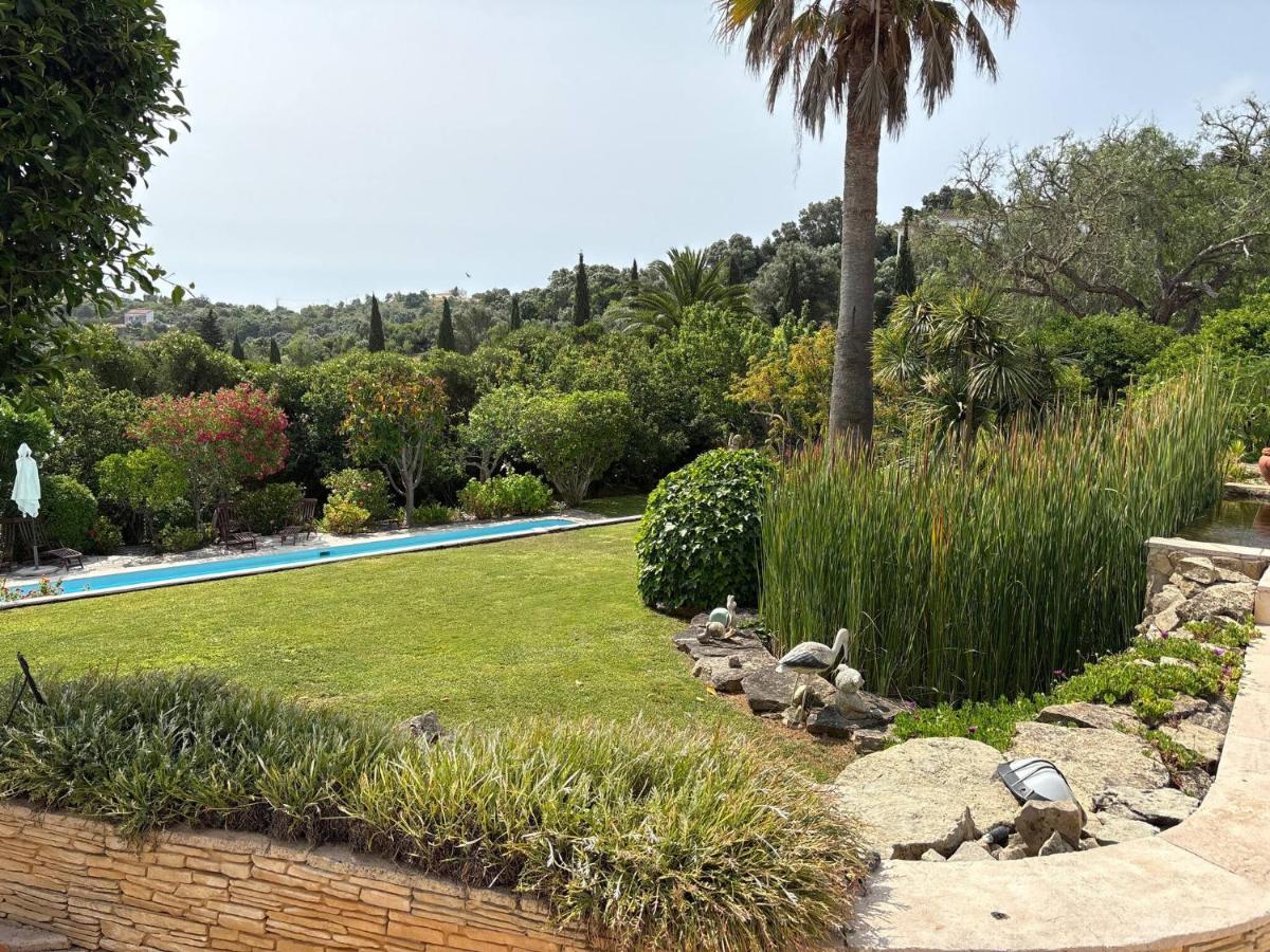 Pool studio in beautiful Quinta - QS05 - Bed and Breakfast Lagos