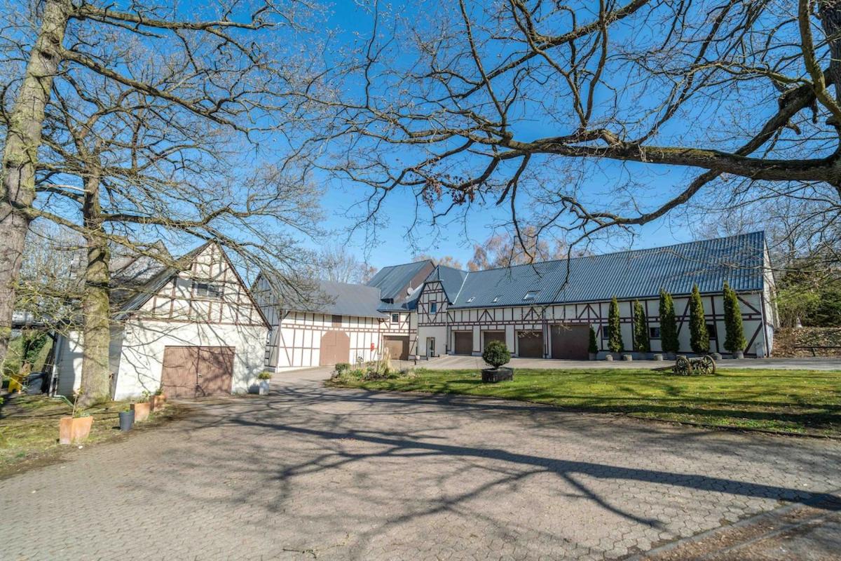 Ferienwohnung Pferdehof Rheintal bei Koblenz - Chambres d'hôtes Braubach