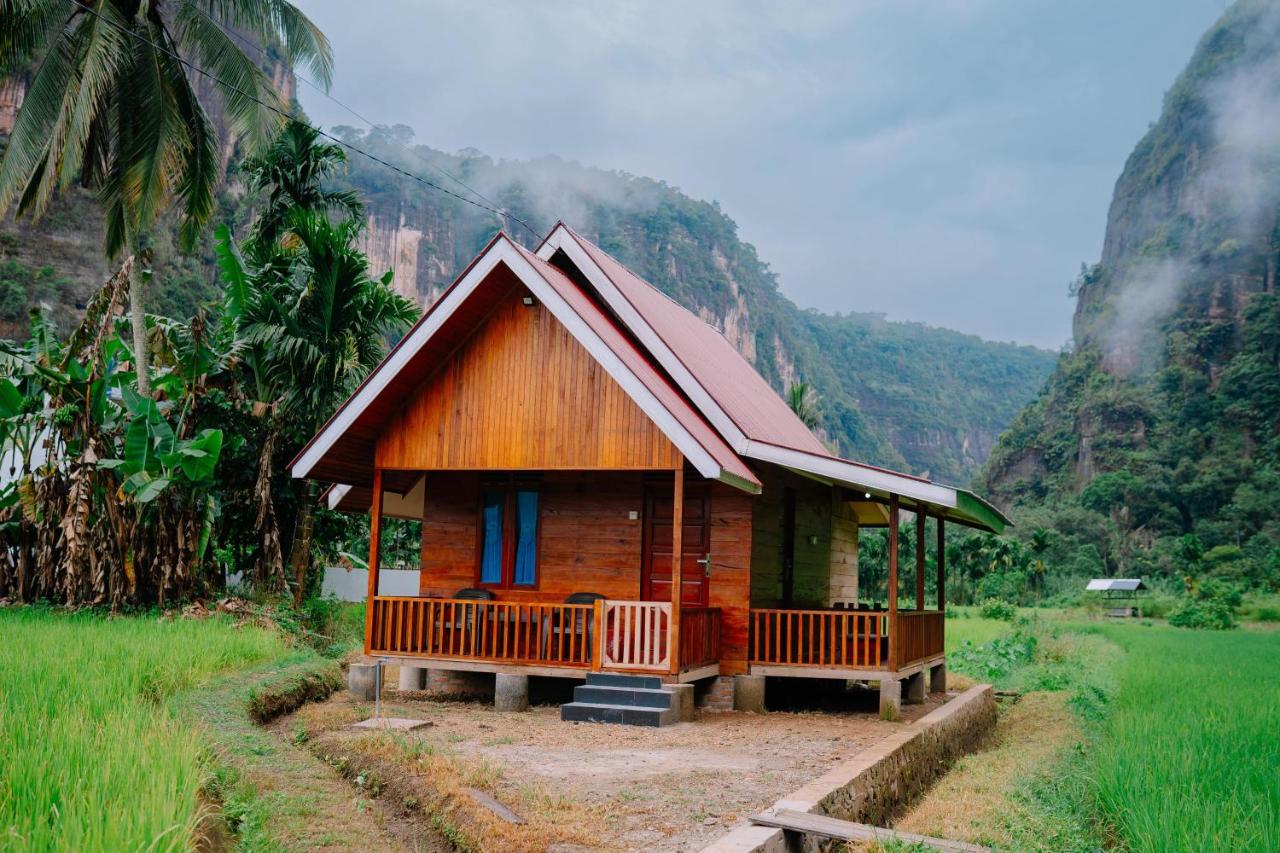 Livio Homestay - B&B Andalas