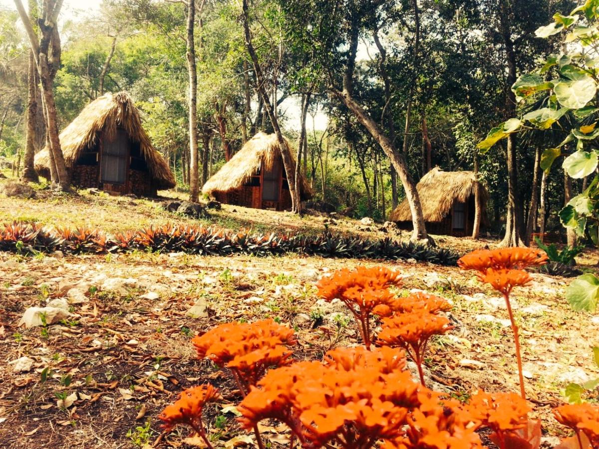 Bel-Há Ecoparque - B&B El Naranjo