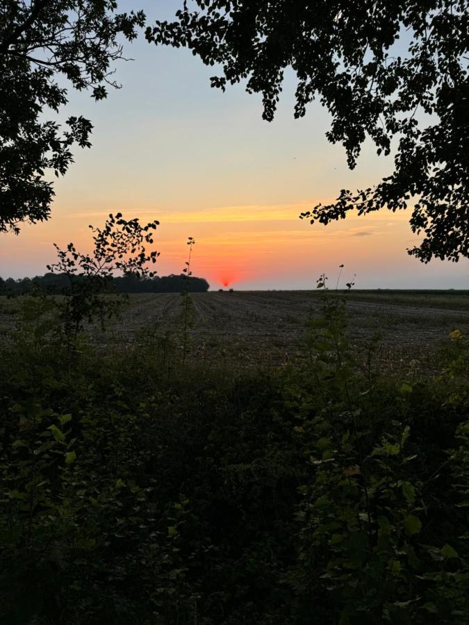 Siedlisko Agata - B&B Drohiczyn