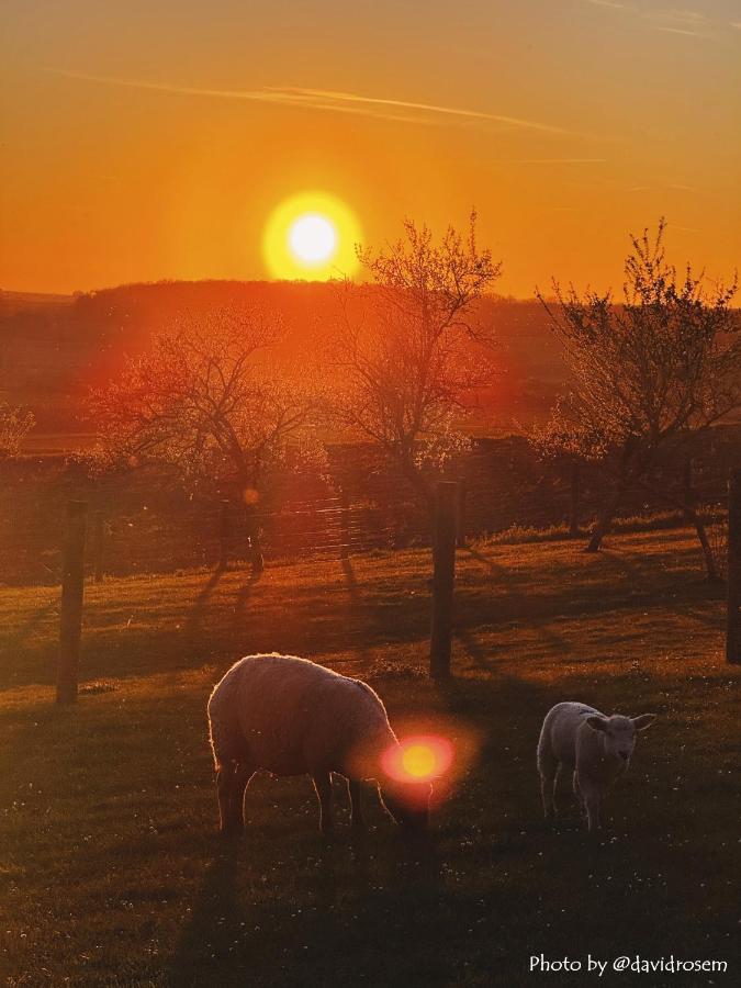 Le bêêêl endroit - Ferienwohnung Gelucourt