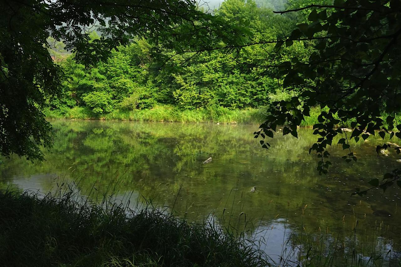 Karolówka Nad Osławą - Bed and Breakfast Czaszyn