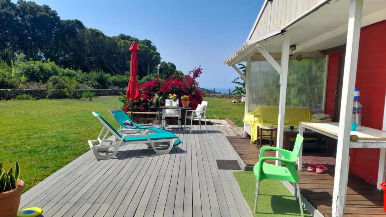 Cabana Papoila - Chambres d'hôtes Colares