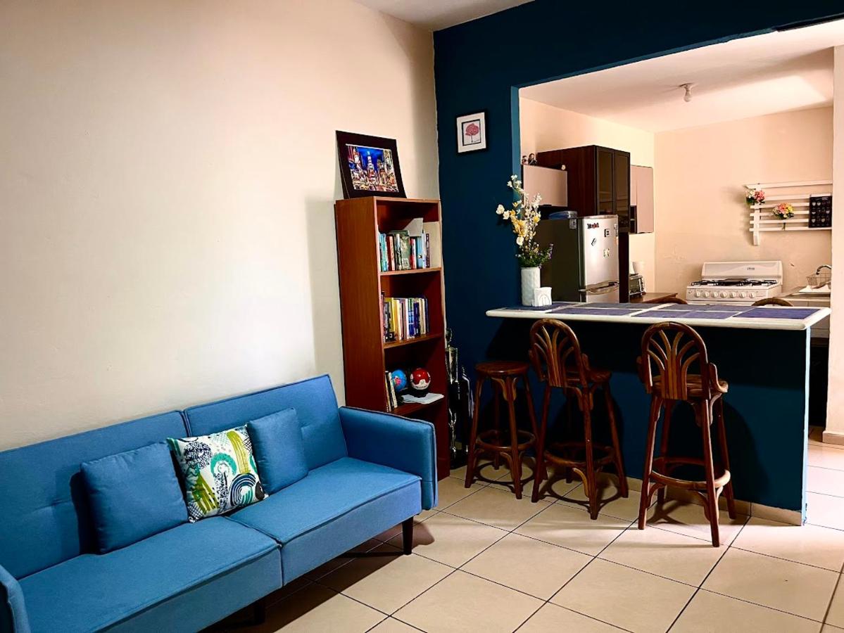 Complete apartment near to Metrocentro - Chambres d'hôtes San Salvador