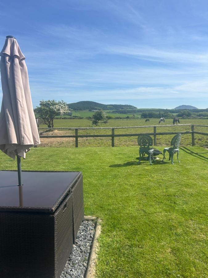 Cwt Gafr Bach - B&B Pwllheli
