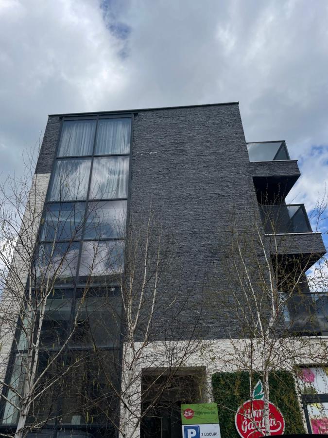 Concrete Nest King bed Free parking - Bed and Breakfast Cluj-Napoca