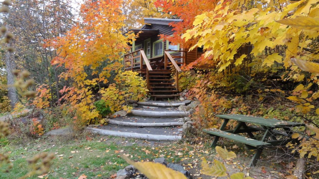 Chalets Aux Berges du Lac Castor - B&B