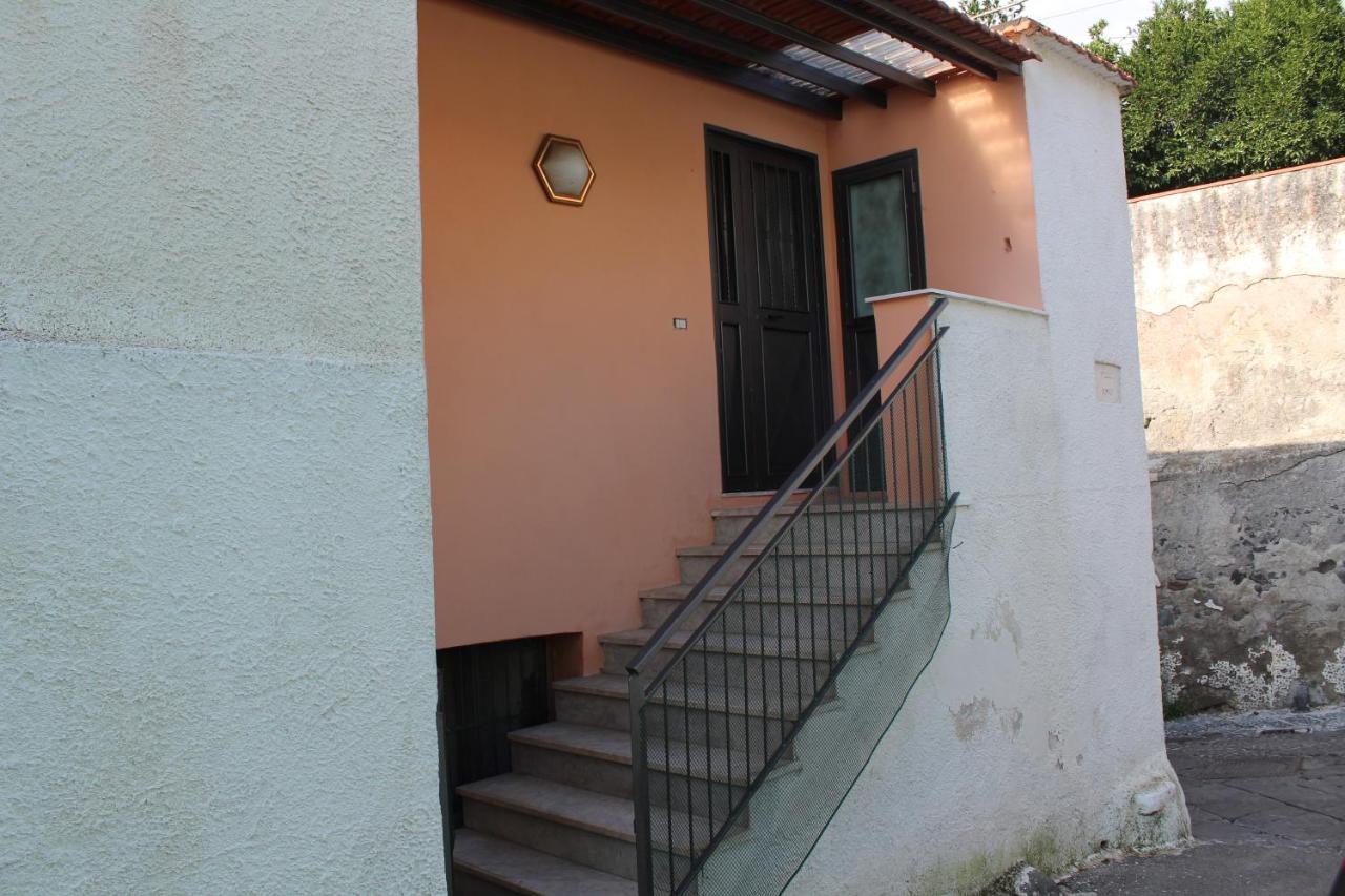 AnVi Apartment - Ferienwohnung