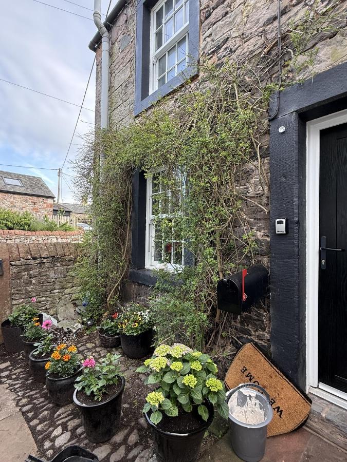 Cozy & charming countryside cottage in Ullswater - Chambres d'hôtes Tirril