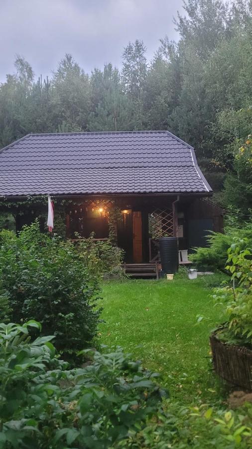 Forest Sulimówka - dom na wyłączność z dala od sąsiadów - B&B Ruda Kameralna