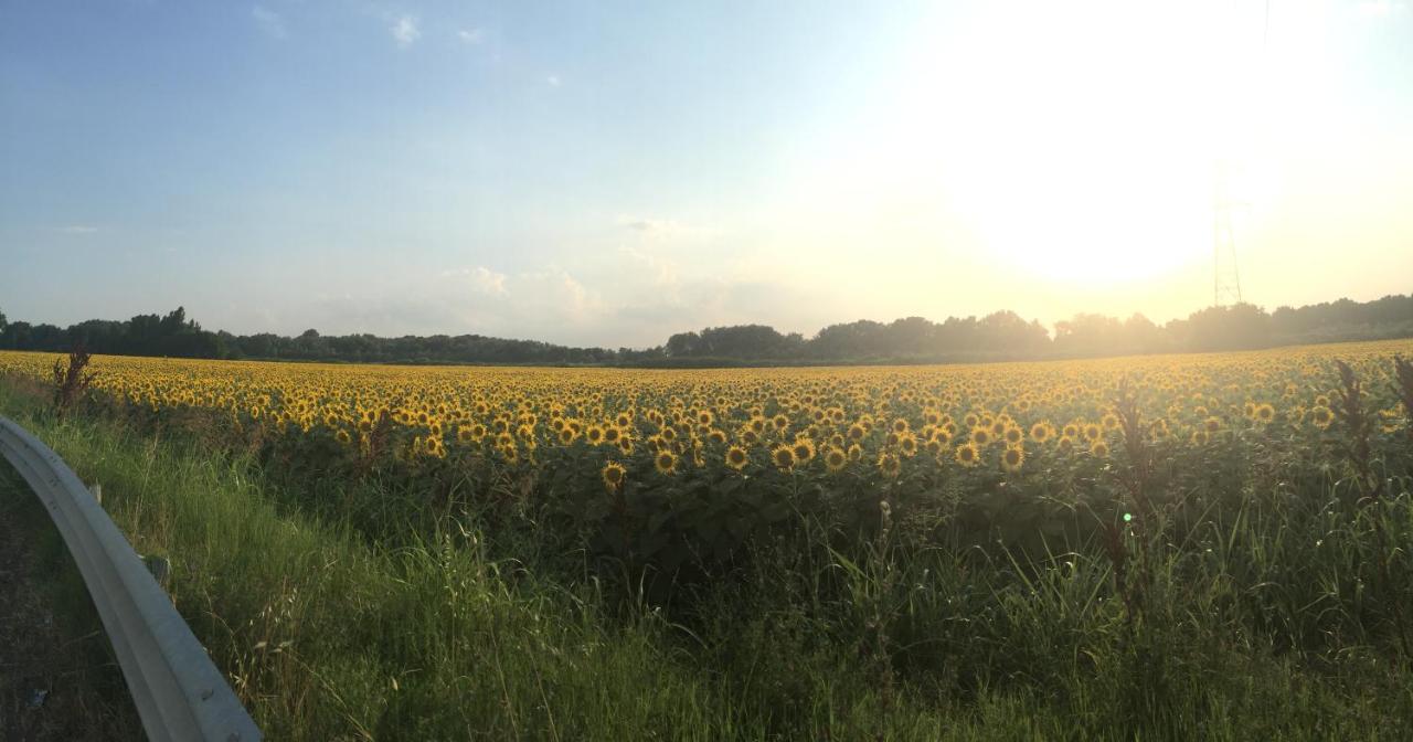 Bed & Breakfast Case Osti - B&B Castel Maggiore