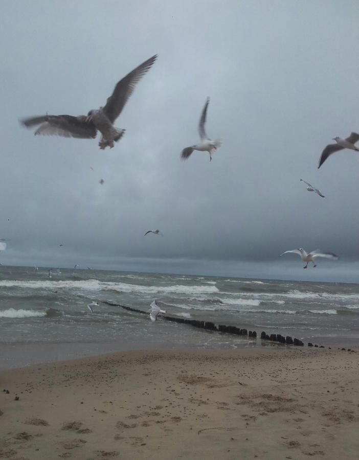 Apartamento - 2 niveles