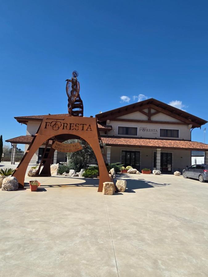 B&B Foresta Vini - B&B Telese Terme