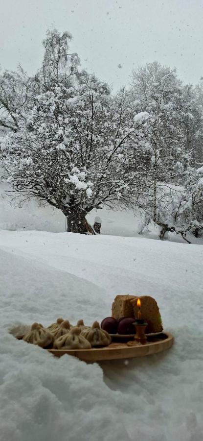 Vasos Home - B&B Dusheti