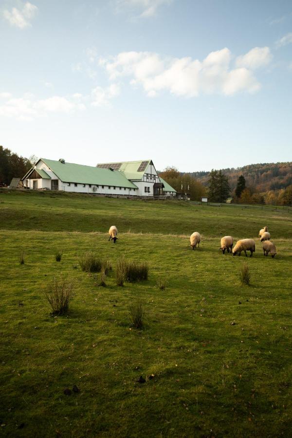 Resort Hvozd - B&B Krompach