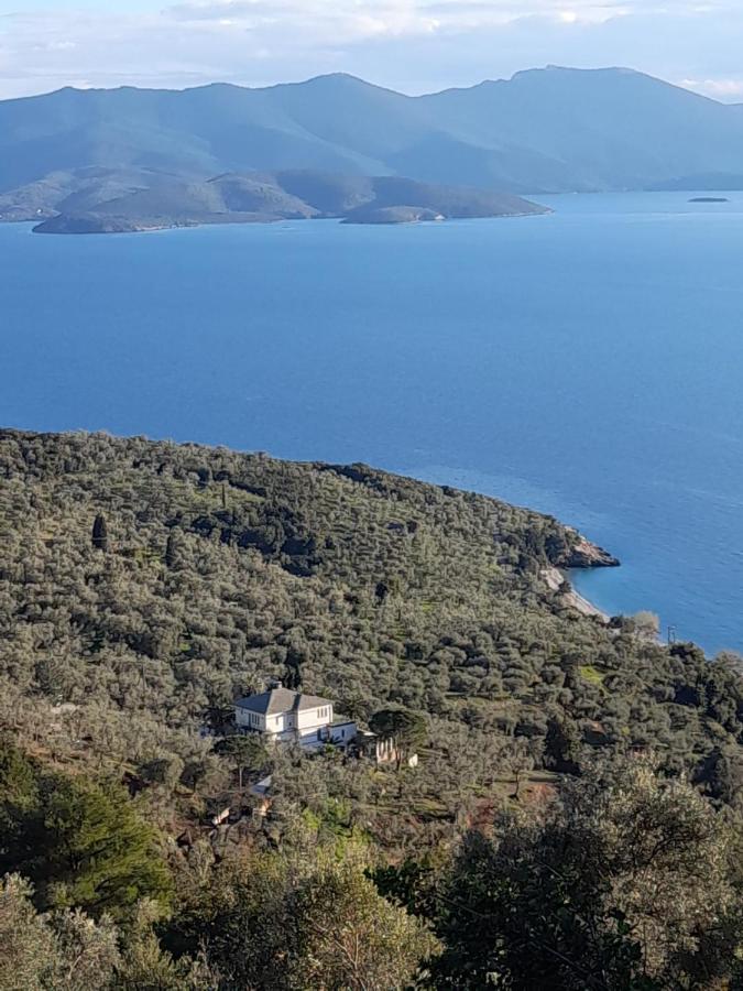 FILOXENIA by Villa Paou - swimming pool - B&B Argalastí
