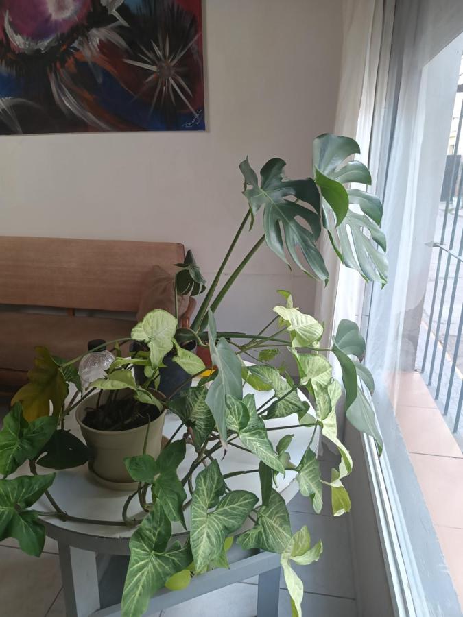 La casa de Napoli - B&B Trelew