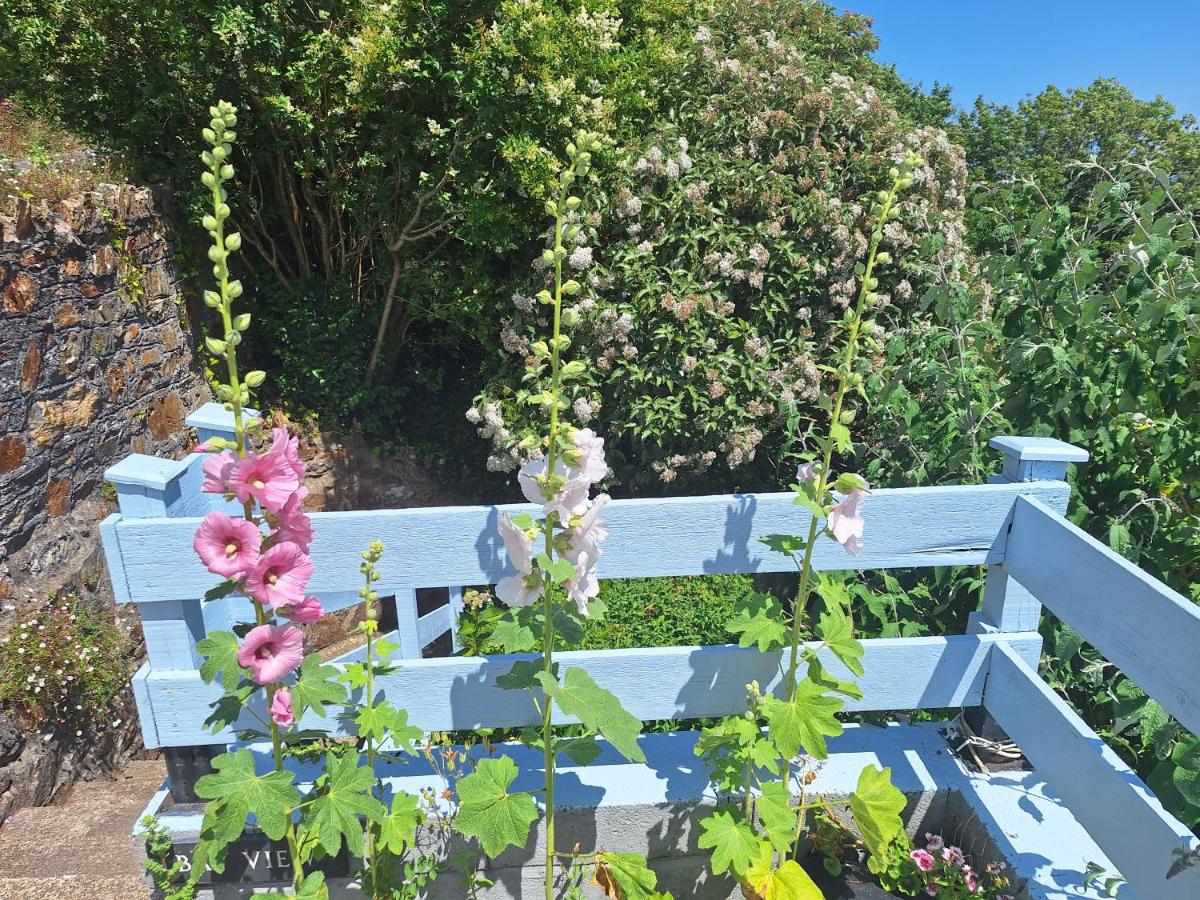 The Secret Garden - Goodwick - B&B Goodwick