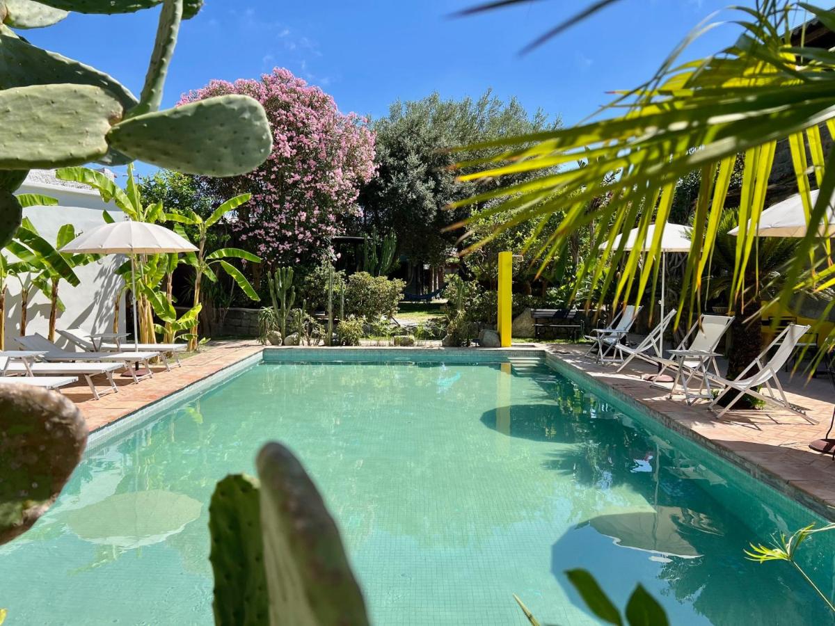 Il Pozzo d'Ischia Adults Only - Bilocale - B&B Forio