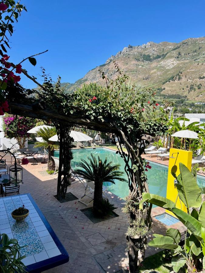Il Pozzo d'Ischia Adults Only - Bilocale - B&B Forio