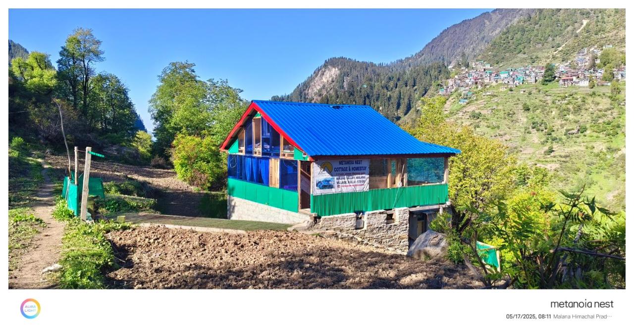 Metanoia Nest cottage & Homestay - B&B Jari