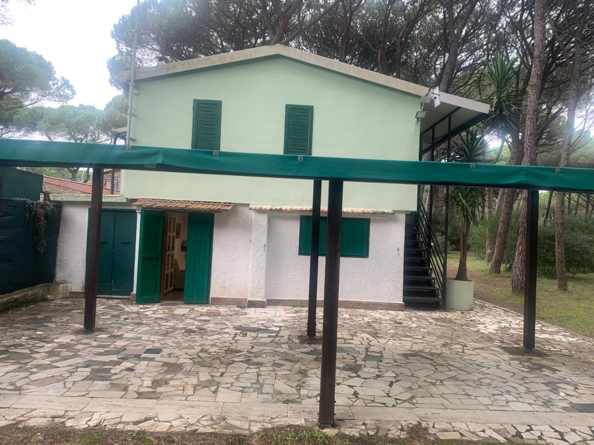 Appartamento in pineta Il Grillo - B&B San Rocco
