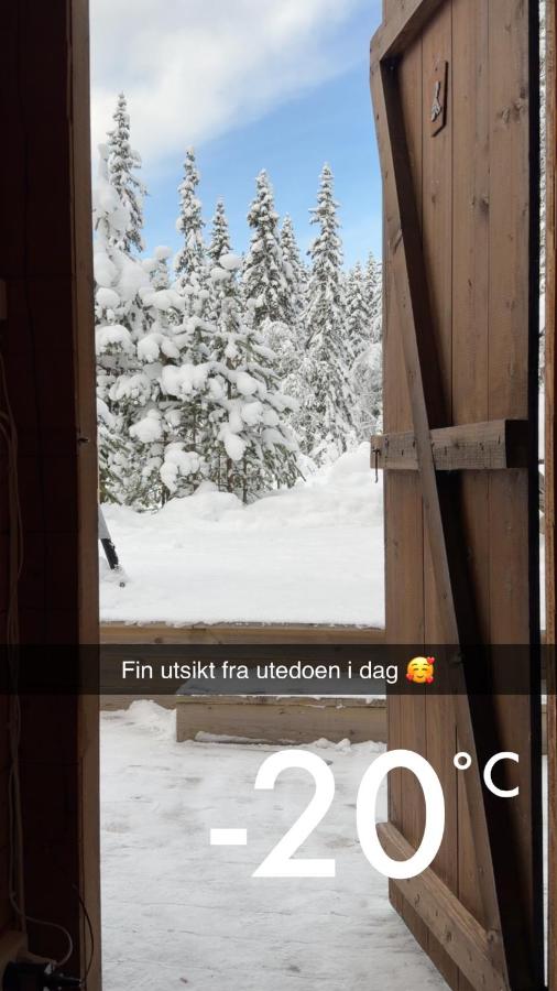 Ål-hytte i Snertingdal på solrik tomt med suveren beliggenhet - B&B Gjøvik