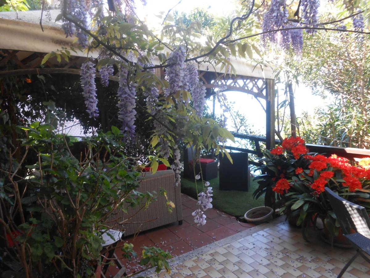 The sunset view - B&B Riomaggiore