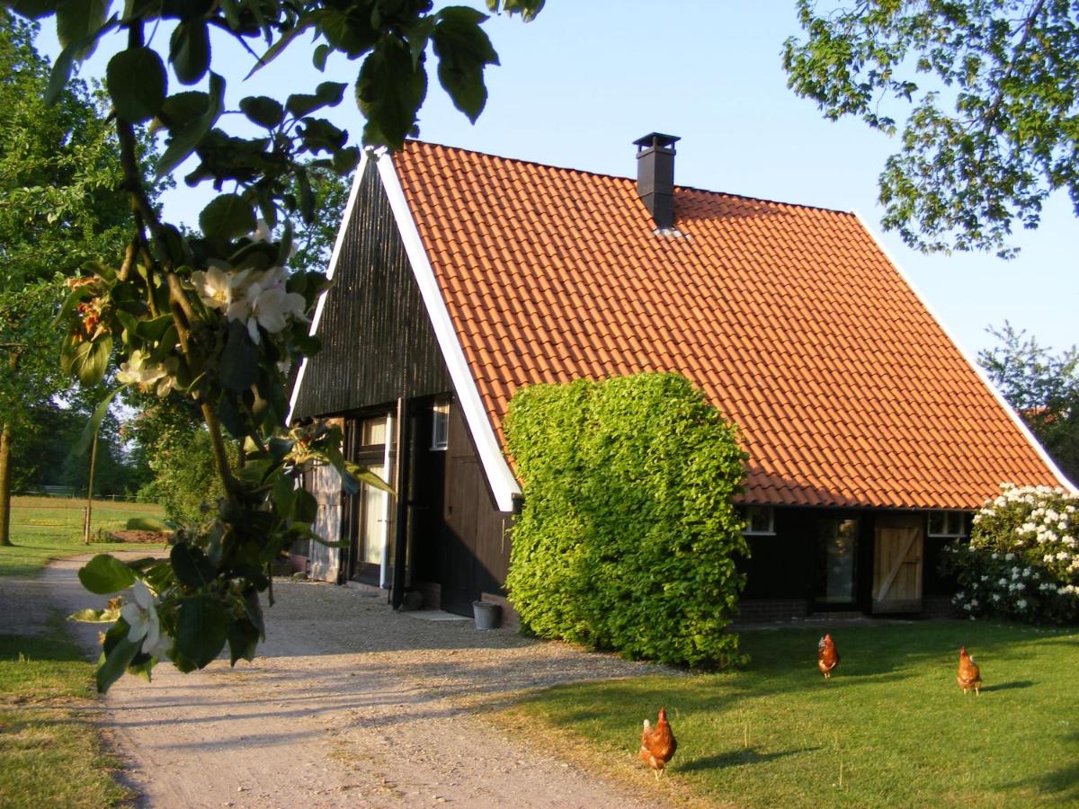 B&B Winterswijk - "Ni-jland" - Bed and Breakfast Winterswijk