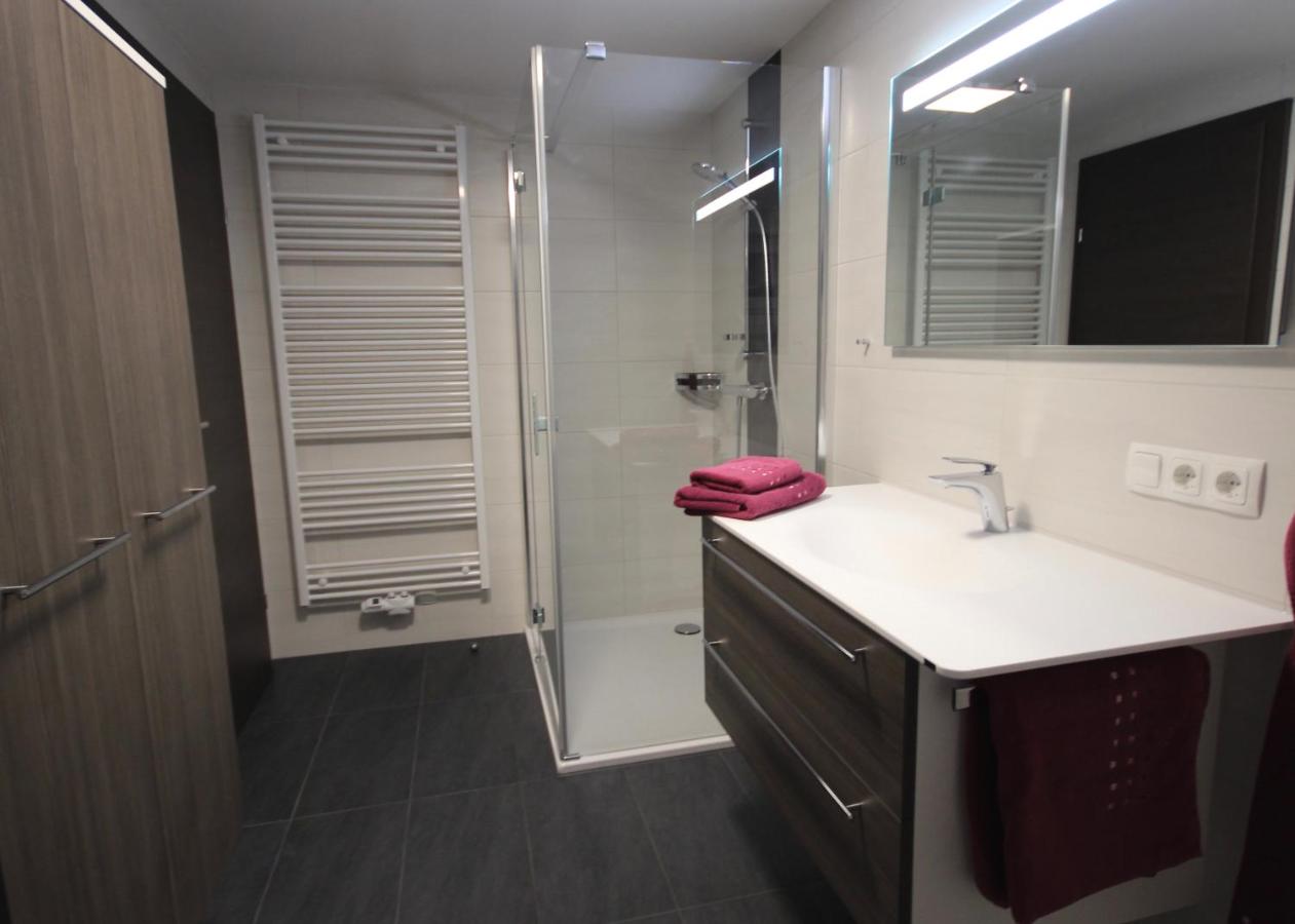 One-Bedroom Apartment with Terrace