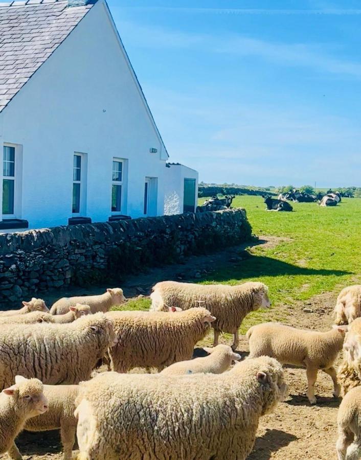 The Dairy Cottage - B&B Prestrie