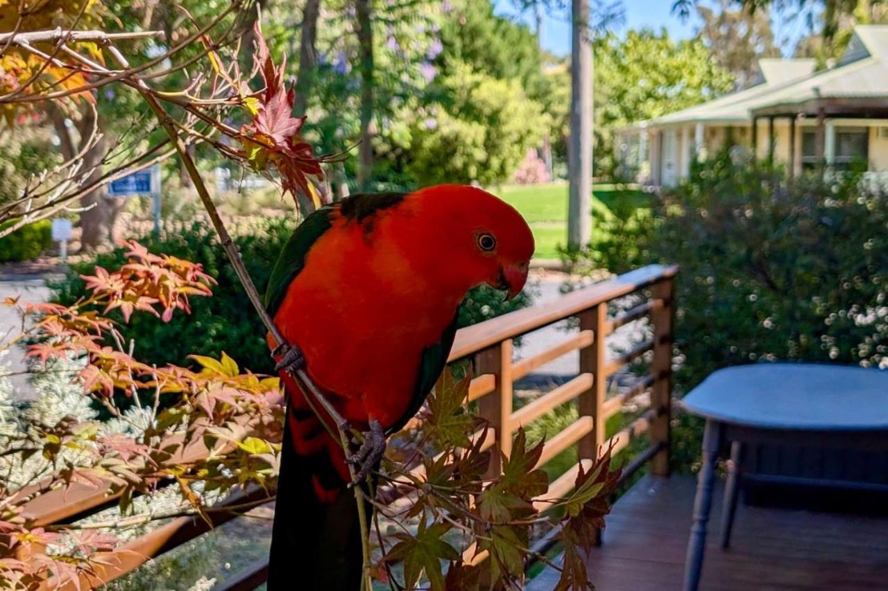 Lakeview Cabin at Lake Hume - B&B Legume