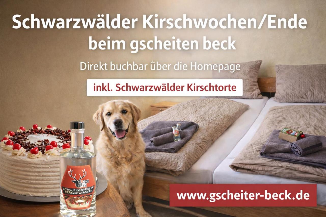 FEWO klein mit Garten - Ferienwohnung Feldberg