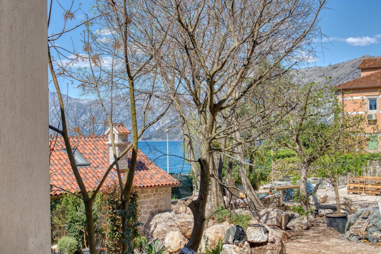 Cozy Apartment near Kotor 20m from the sea - Ferienwohnung Dobrota