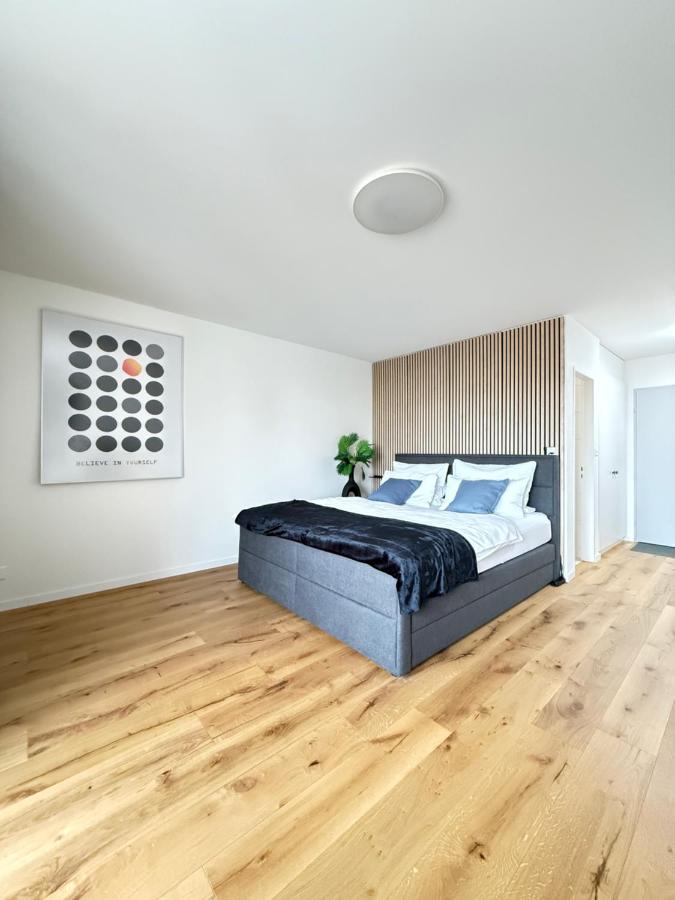 Appartamento Deluxe con 1 Camera da Letto