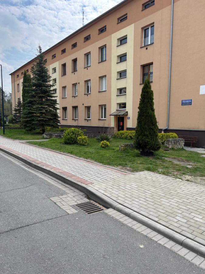 kawalerka,apartament,mieszkanie - B&B Kędzierzyn-Koźle