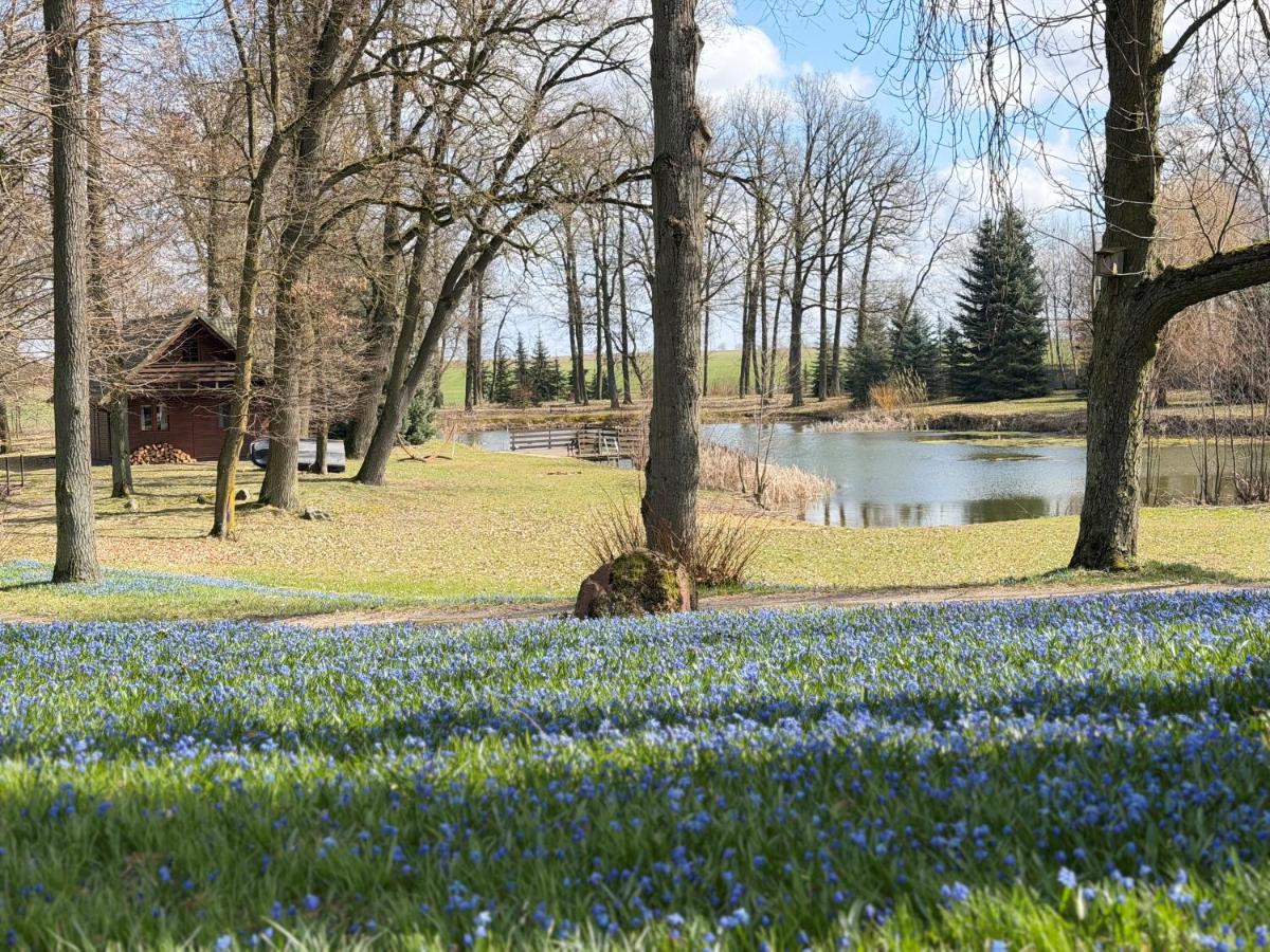 Stare Lipy - B&B Nakło nad Notecią