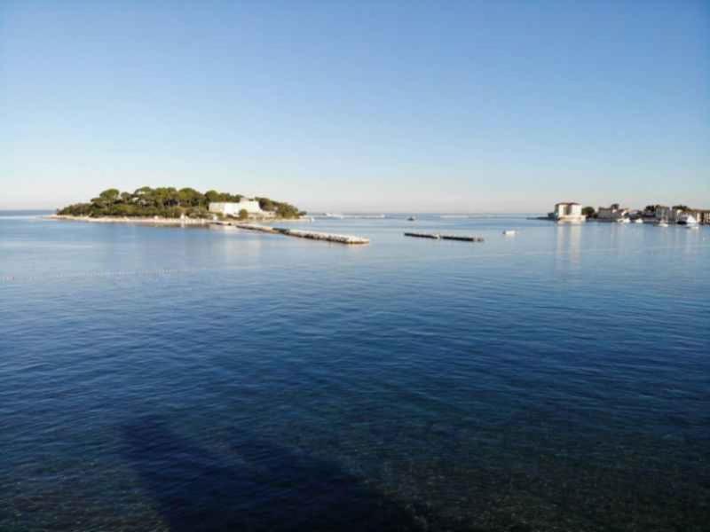 Apartment in Porec - Istrien 47147 - B&B Parenzo