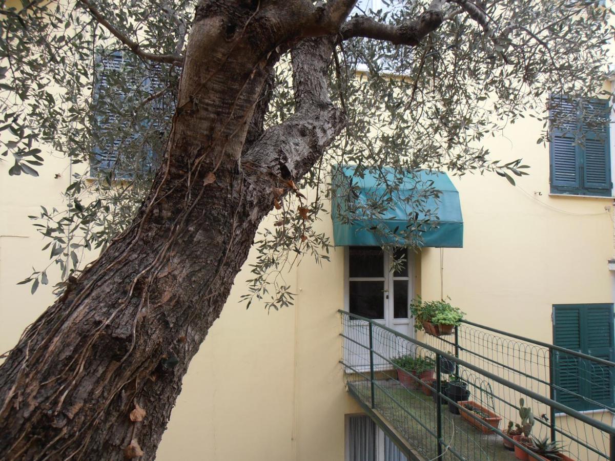 Casa dell'ulivo - B&B