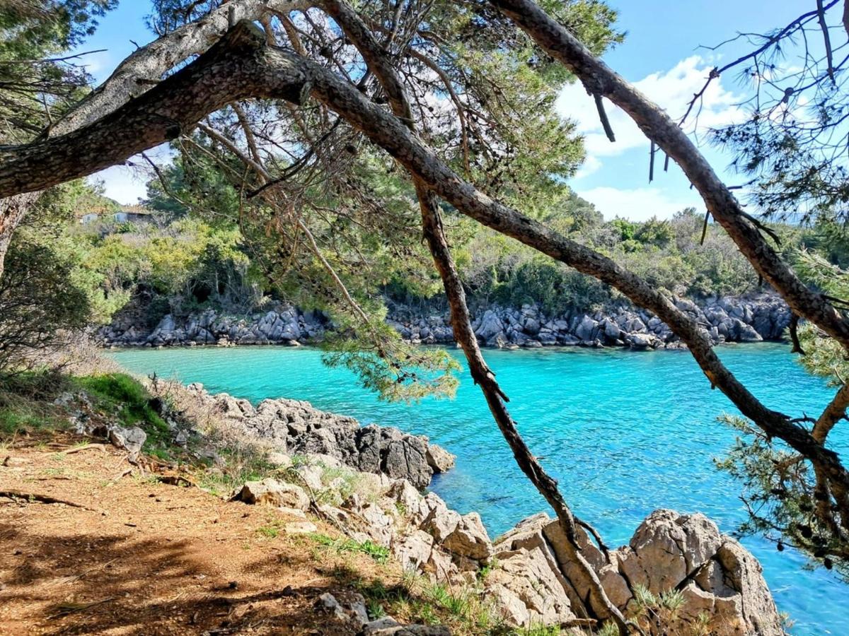 Family Apartments Viva close to the Beach - Ferienwohnung Krk