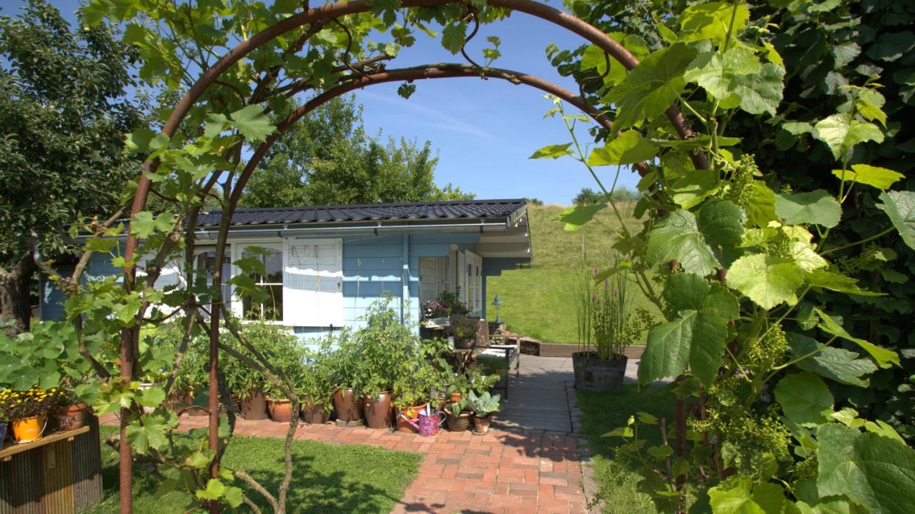 Die blaue Hütte - Tiny House am Elberadweg - B&B Seestermühe