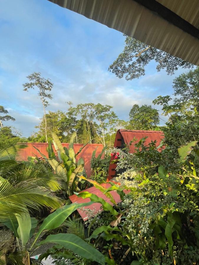 Salvaje trip - B&B Nuquí