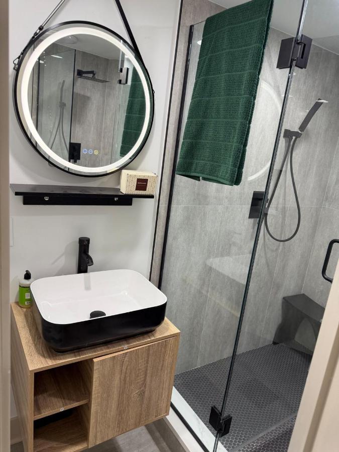 Luxurious Bronzeville Apartment with RoofTop - B&B Chicago