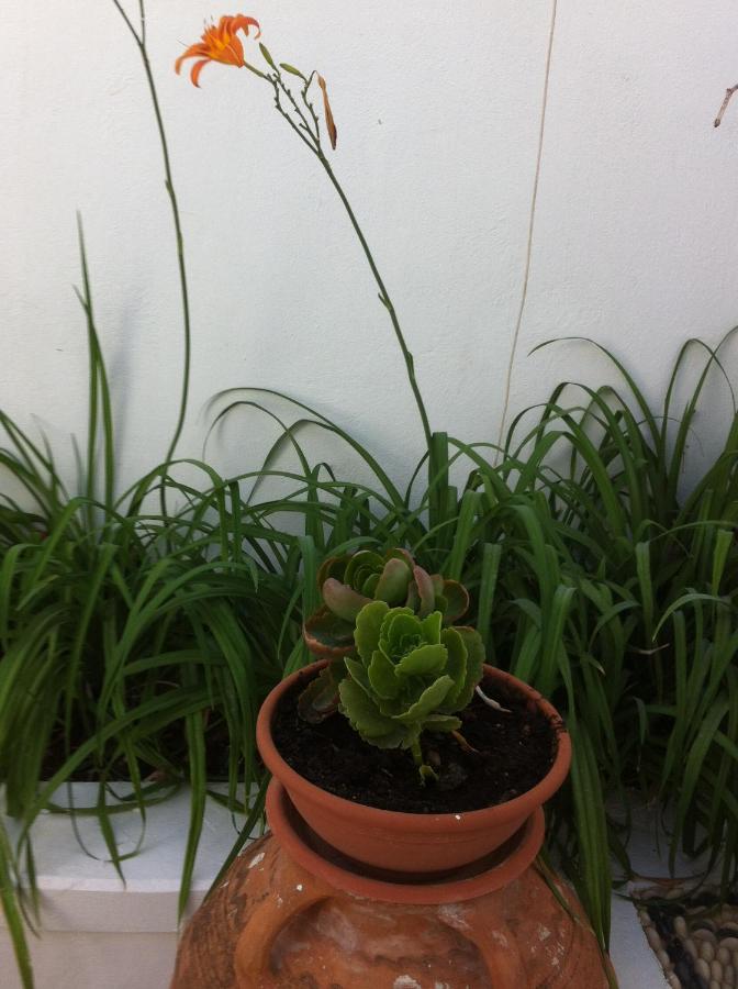 Villa Soultana - Ferienwohnung Lindos